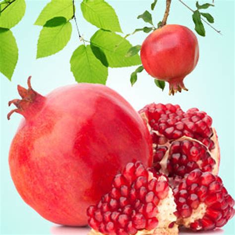 Pomegranate Fragrance Oil - Nature's Garden Candles