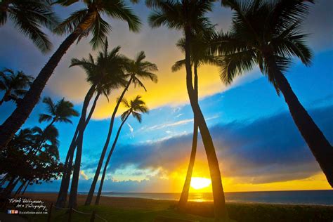 Maui Sunset Hawaii Photo Palm Trees Tropical scenery Ocean photography ...