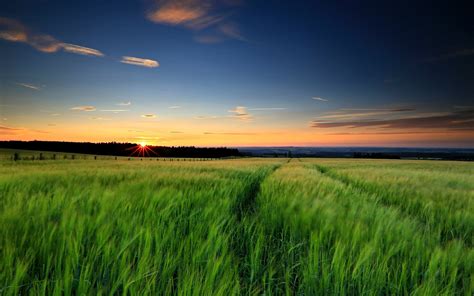 Landscape Grass Background Hd - apple-ns