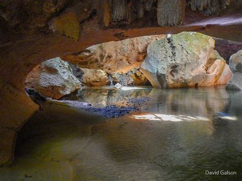 "Caves Branch River, Belize" by David Galson | Redbubble