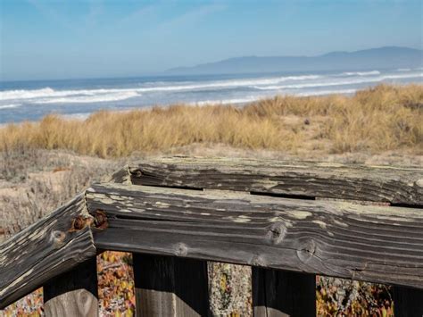 Pescadero State Beach: Everything You Need to Know