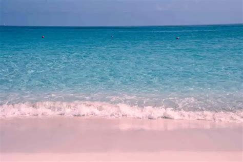 Pink Sand Beach In Bahamas [Surprising Facts, Excursions, Weddings ...