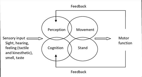 Relation between sensory motor integration and environment. Modified ...