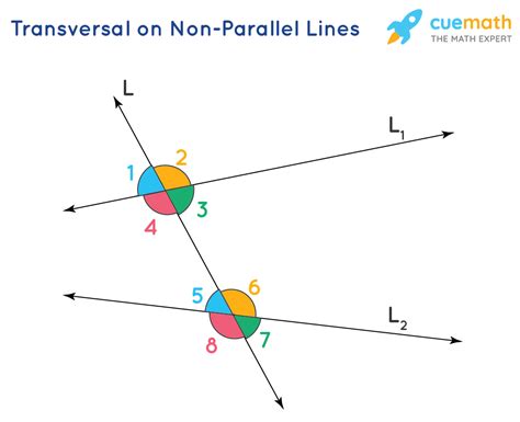 Transversal - Definition, Transversal Lines and Angles, Examples