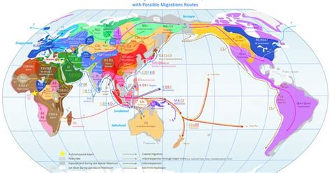 World Haplogroup Map | Genetic Genealogy Ireland, 2013 | Pinterest | History