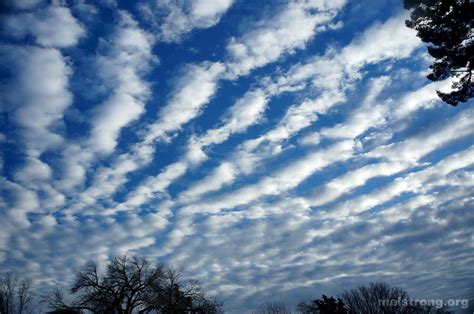 Altocumulus images