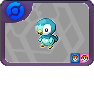 WC4: Debug Shiny Piplup Card - Unreleased/Beta PKM Gallery - Project Pokemon Forums