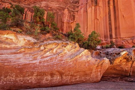 Wall along Grand Wash Trail Photograph by Carolyn Derstine