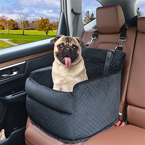 18 Most Essential Dog Car Travel Accessories You Must Have