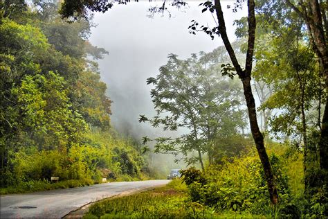 Cloud Forest Photograph by Galeria Trompiz | Fine Art America