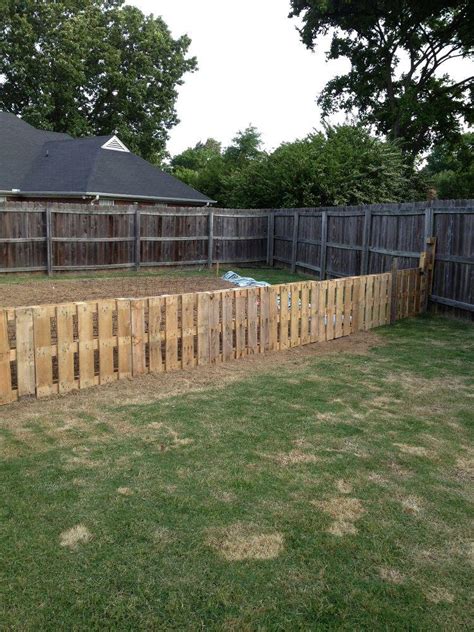 DIY Dog Fence Ideas and Installation Tips: 6 Best Cheap Designs