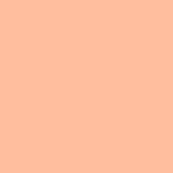 MR4 - Pale Peach Pastel Solid wallpaper - maryyx - Spoonflower