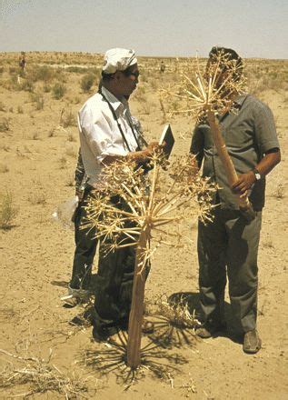 two men are standing in the desert and one is holding a stick with sticks sticking out of it