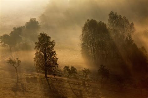 OddFuttos, When The Photos Speak: Art Photography : Stunning Fog Photos ...