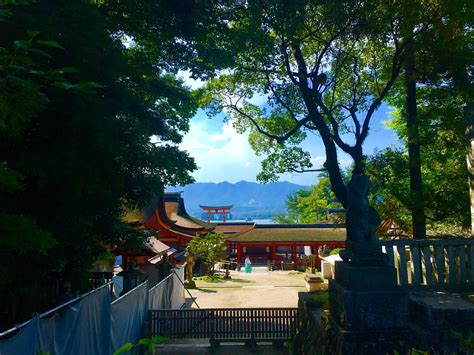 I took this on Itsukushima Island, Hiroshima Prefecture on my trip this July : r/japanpics