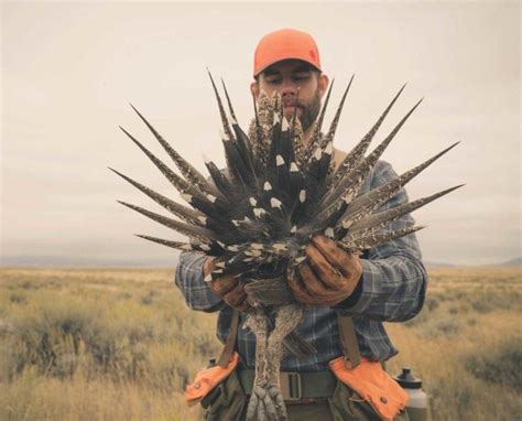 How to Identify Sage Grouse Habitat - Project Upland Magazine