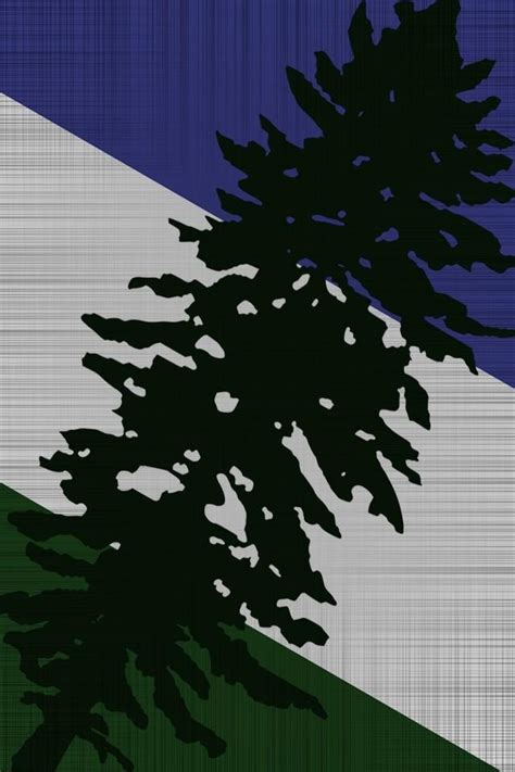 Pin by Bilal Wright on Doug/Cascadia Flag | Cascadia, Wallpaper, Graphic design