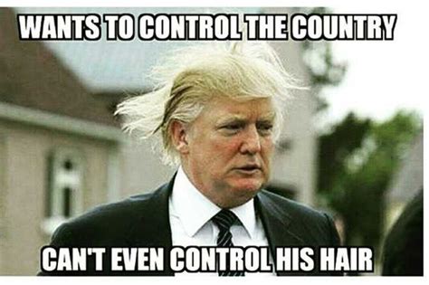 Presidential Heir Apparent Donald Trump—Funniest Hair Memes! - Popdust