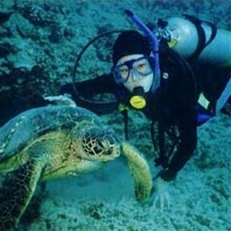 Top 10 Scuba Diving Spots in Costa Rica – PUNTARENAS