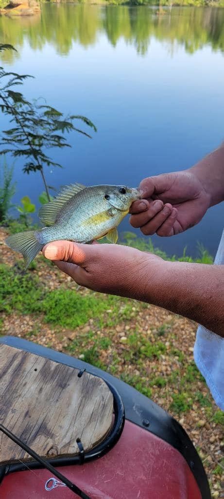 Fishing — Willow Brook Campground