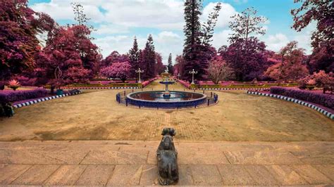 Park in Bangalore: Explore the Blooming Green Havens in the ‘City of Gardens’