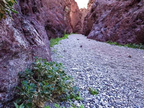 Arizona Hot Springs via White Rock Canyon Photo #2 • writelots • 2016-02-20 • HikeArizona.COM