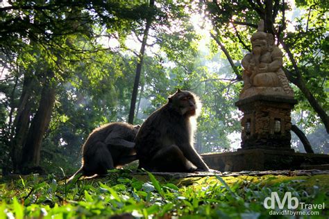 Sacred Monkey Forest Sanctuary, Ubud, Bali, Indonesia | Worldwide ...