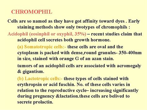 HYPOPHYSIS PITUITARY GLAND DEFINITION The pituitary gland is