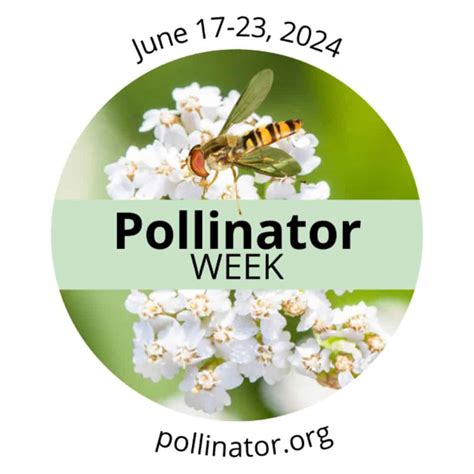 Pollinator Week Events in Charlotte - pollinator walking tour & bee ...