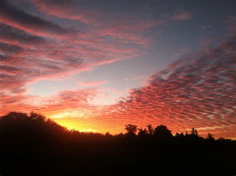 Sunset over West Lake Toho Kissimmee FL Kissimmee Fl, Airboat, West Lake, Orlando Florida, Tours ...