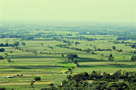 Of Protecting the Caraballo Mountains: LGU Natividad Continues Feat on ...