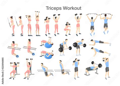 Arm triceps workout set with dumbbell and barbell Stock Vector | Adobe Stock