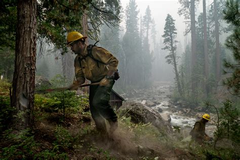 Restoring America's large forest landscapes - American Forests