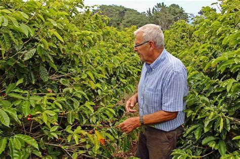 St Helena Coffee ⋅ Saint Helena Island Info ⋅ About St Helena, in the South Atlantic Ocean