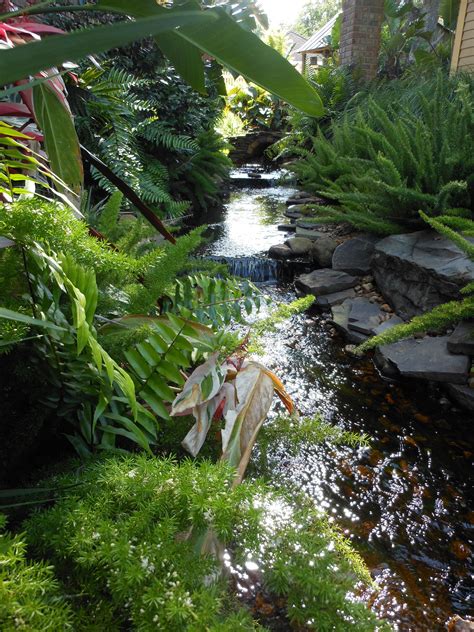 Garden stream with landscaping | Garden stream, Landscape, Garden