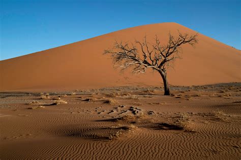 7 Days, 1,500 Miles in Namibia - The New York Times