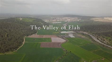 The Valley of Elah : David and Goliath | Standing in the Valley of Elah where David slew Goliath ...