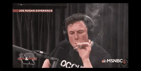 Elon Musk GIF - Elon Musk - Discover & Share GIFs