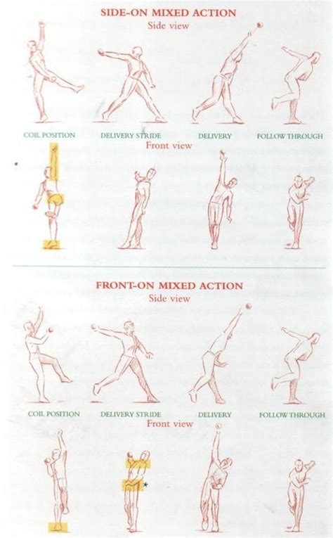 Optimal Technique for Pace Bowling in Cricket.: Optimal Technique for ...