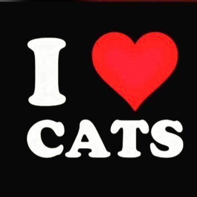 Ig Profile Pic, Cat Profile, I Love Cats Shirt, Free T Shirt Design, Hot Dads, Roblox Shirt ...