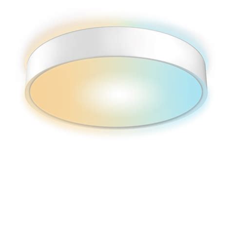 Circular Fluorescent Ceiling Light Fixtures | Shelly Lighting