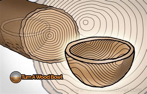 Bowl Turning Grain Orientation - Wood Blank Direction - Turn A Wood Bowl