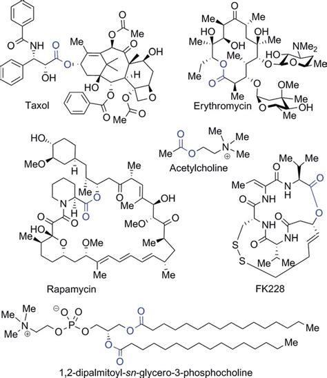 Examples of ester-containing natural products. | Download Scientific ...