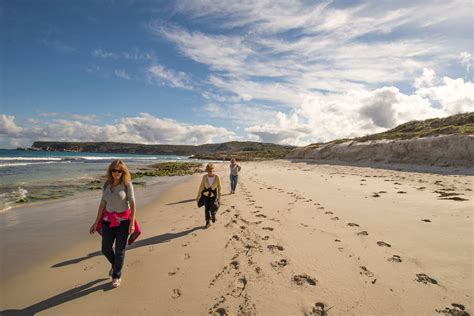 Luxury Kangaroo Island Tours | Exceptional Kangaroo Island