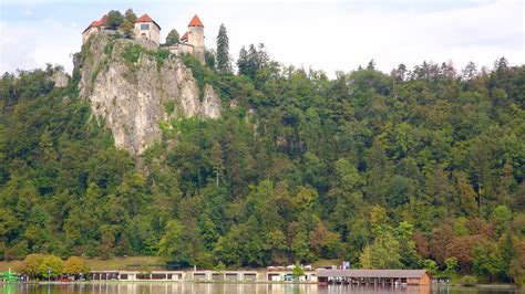 Bled Castle Pictures: View Photos & Images of Bled Castle