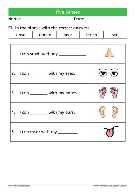 Five Senses - Worksheet Digital