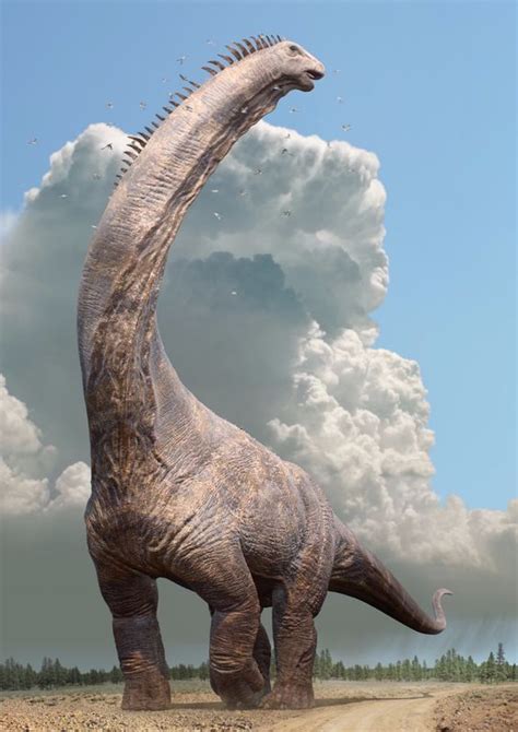 alamosaurus | Dinosaur, Dinosaur pictures, Prehistoric