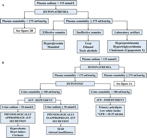 Diagnostic and Therapeutic Strategies to Severe Hyponatremia in the Intensive Care Unit ...