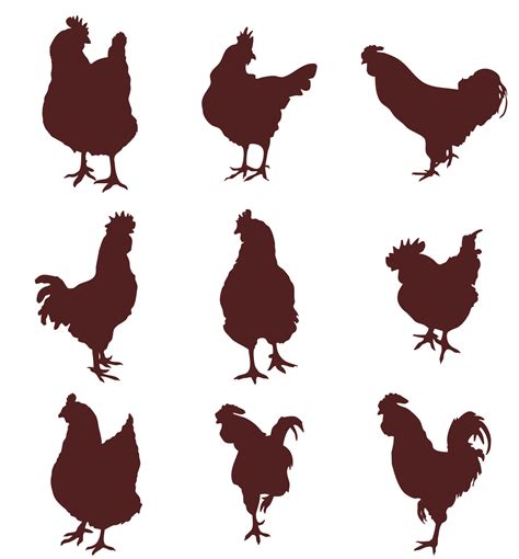 Set of silhouettes of a hen, a rooster and little chicks 9392910 Vector ...