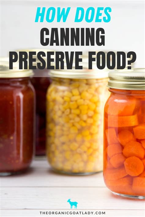 How Does Canning Preserve Food? - The Organic Goat Lady